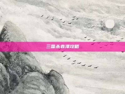 三国杀袁潭攻略
