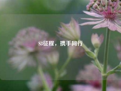S3征程，携手同行