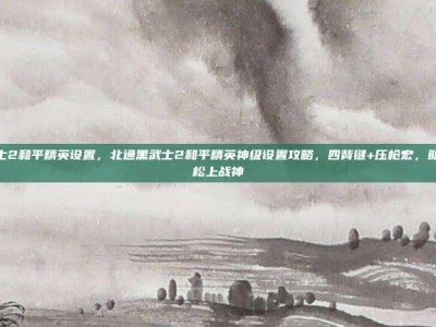 黑武士2和平精英设置，北通黑武士2和平精英神级设置攻略，四背键+压枪宏，助你轻松上战神