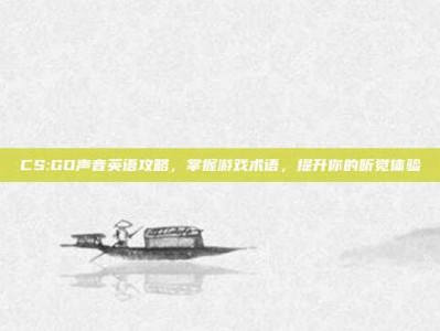 CS:GO声音英语攻略，掌握游戏术语，提升你的听觉体验