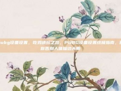 pubg设备设置，吃鸡进阶之路，PUBG设备设置终极指南，助你告别人体描边大师