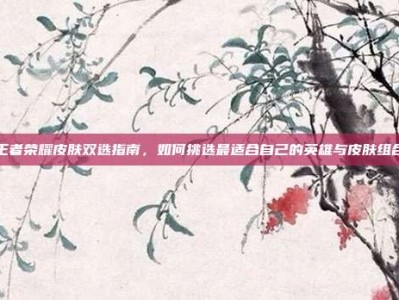 王者荣耀皮肤双选指南，如何挑选最适合自己的英雄与皮肤组合