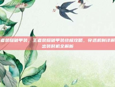 王者荣耀破甲装，王者荣耀破甲装终极攻略，穿透机制详解与出装时机全解析