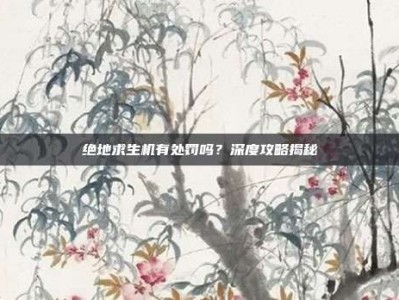 绝地求生机有处罚吗？深度攻略揭秘
