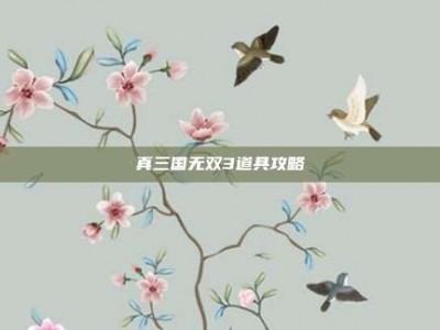 真三国无双3道具攻略