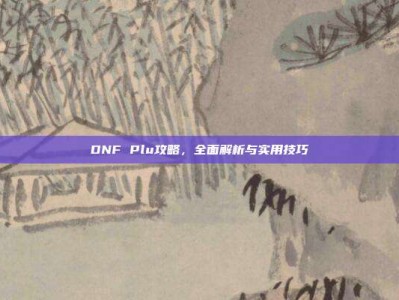 DNF Plu攻略，全面解析与实用技巧