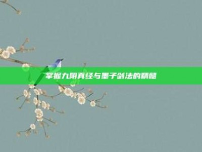 掌握九阴真经与墨子剑法的精髓