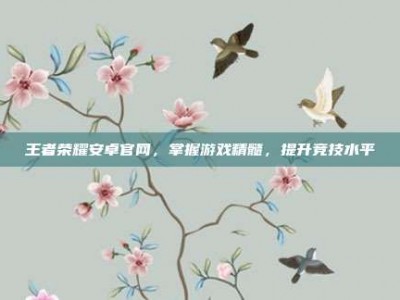 王者荣耀安卓官网，掌握游戏精髓，提升竞技水平