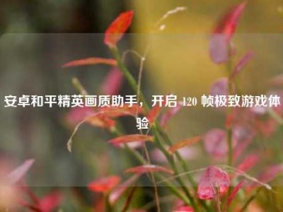 安卓和平精英画质助手，开启 120 帧极致游戏体验