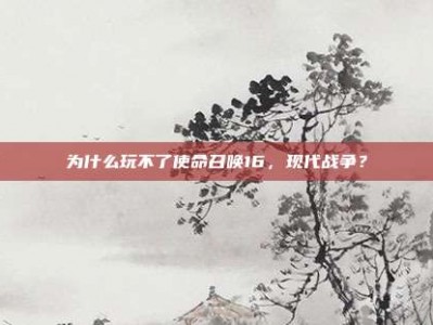 为什么玩不了使命召唤16，现代战争？