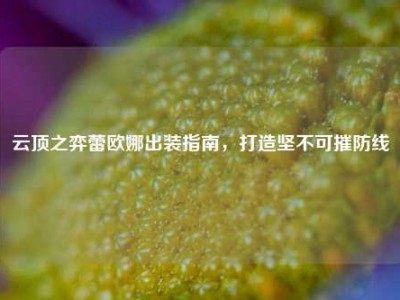 云顶之弈蕾欧娜出装指南，打造坚不可摧防线