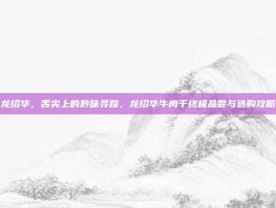 龙绍华，舌尖上的黔味寻踪，龙绍华牛肉干终极品尝与选购攻略