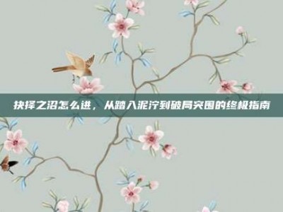 抉择之沼怎么进，从踏入泥泞到破局突围的终极指南