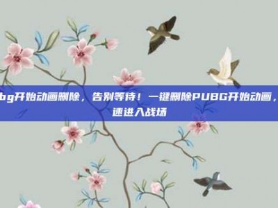 pubg开始动画删除，告别等待！一键删除PUBG开始动画，秒速进入战场