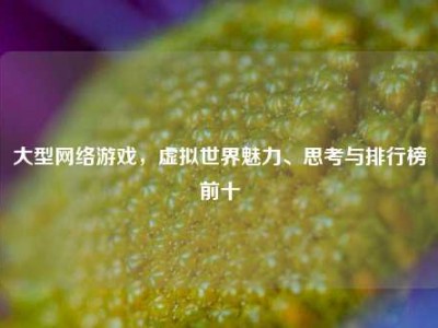 大型网络游戏，虚拟世界魅力、思考与排行榜前十