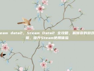 steam data2，Steam Data2 全攻略，解锁你的游戏数据，提升Steam使用体验