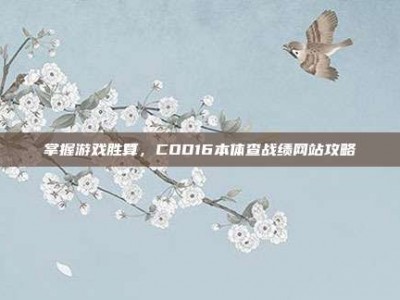 掌握游戏胜算，COD16本体查战绩网站攻略