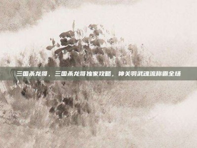 三国杀龙哥，三国杀龙哥独家攻略，神关羽武魂流称霸全场