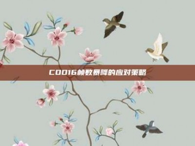 COD16帧数暴降的应对策略