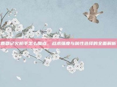 鹿鼎记火枪手怎么加点，战术强度与属性选择的全面解析