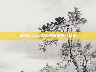 成为CSGO菜鸟竞赛高手的秘诀