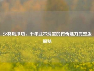 少林鹰爪功，千年武术瑰宝的传奇魅力完整版揭秘