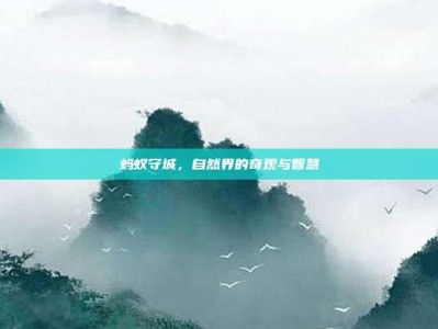 蚂蚁守城，自然界的奇观与智慧