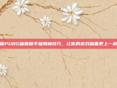 掌握PUBG画质助手极限帧技巧，让你的游戏画面更上一层楼