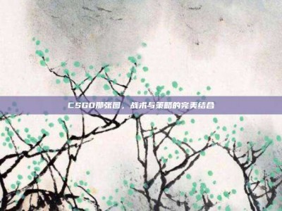 CSGO那张图，战术与策略的完美结合