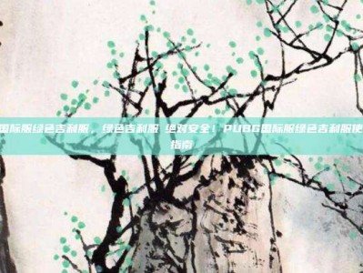 pubg国际服绿色吉利服，绿色吉利服≠绝对安全！PUBG国际服绿色吉利服使用完全指南