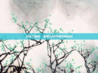 关兴三国杀，策略与技巧的完美融合