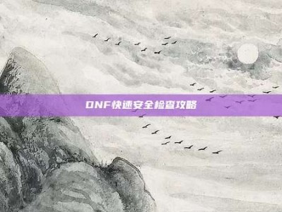 DNF快速安全检查攻略
