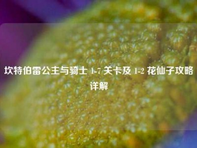 坎特伯雷公主与骑士 1-7 关卡及 1-2 花仙子攻略详解