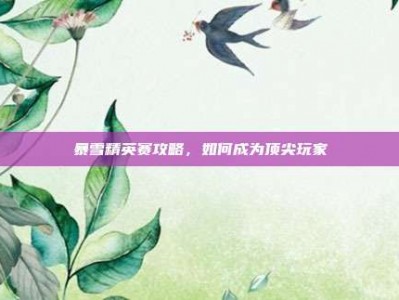 暴雪精英赛攻略，如何成为顶尖玩家