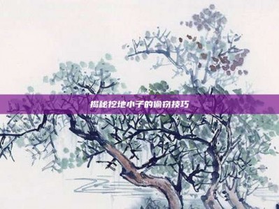 揭秘挖地小子的偷窃技巧