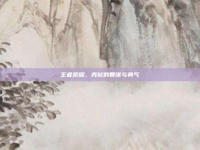 王者荣耀，苏轼的智谋与勇气