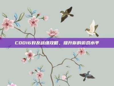 COD16好友战绩攻略，提升你的游戏水平
