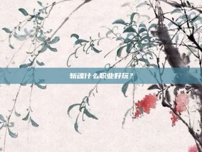 斩魂什么职业好玩？