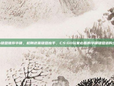 csgo键盘推荐华硕，枪刚还需键盘应手，CS:GO玩家必看的华硕键盘选购全攻略