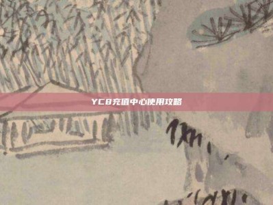 YC8充值中心使用攻略