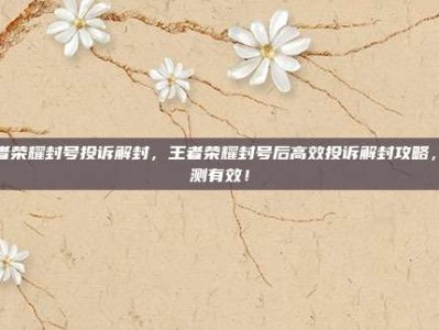 王者荣耀封号投诉解封，王者荣耀封号后高效投诉解封攻略，亲测有效！