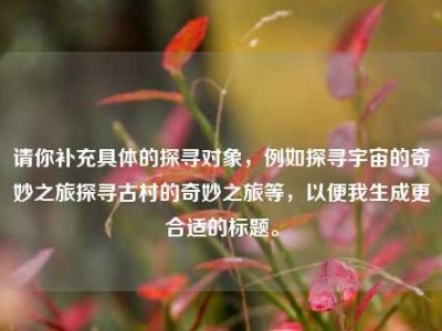 请你补充具体的探寻对象，例如探寻宇宙的奇妙之旅探寻古村的奇妙之旅等，以便我生成更合适的标题。