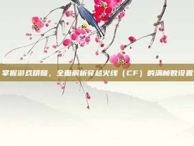 掌握游戏精髓，全面解析穿越火线（CF）的满帧数设置