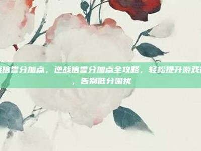 逆战信誉分加点，逆战信誉分加点全攻略，轻松提升游戏体验，告别低分困扰
