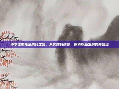 小学徒斯托米成长之路，从实践到蜕变，探索职业发展的新路径