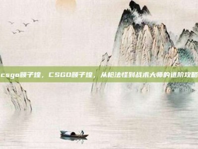 csgo顾子煌，CSGO顾子煌，从枪法怪到战术大师的进阶攻略