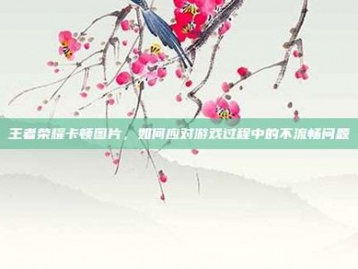 王者荣耀卡顿图片，如何应对游戏过程中的不流畅问题