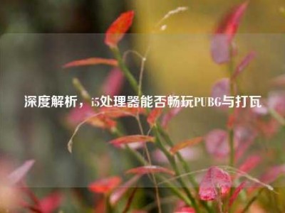 深度解析，i5处理器能否畅玩PUBG与打瓦