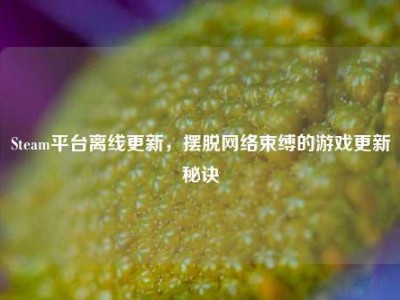 Steam平台离线更新，摆脱网络束缚的游戏更新秘诀