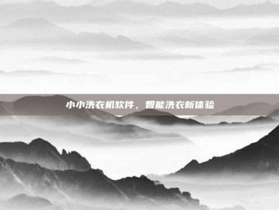 小小洗衣机软件，智能洗衣新体验